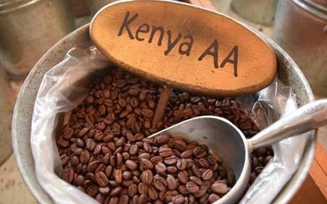 Kahve çekirdeklerinin üzerinde “Kenya AA” yazan ahşap levha